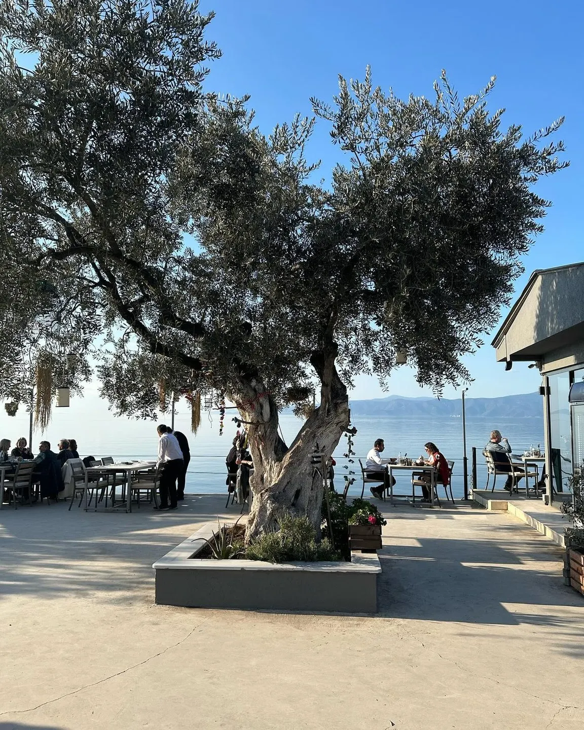 Balıkçı Rıza — Bursa (10/10)