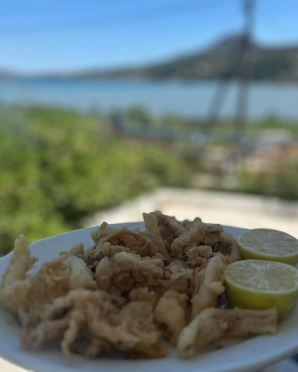 Άρτεμις Ψαροταβέρνα - Artemis Fishtavern — Atina (2/9)