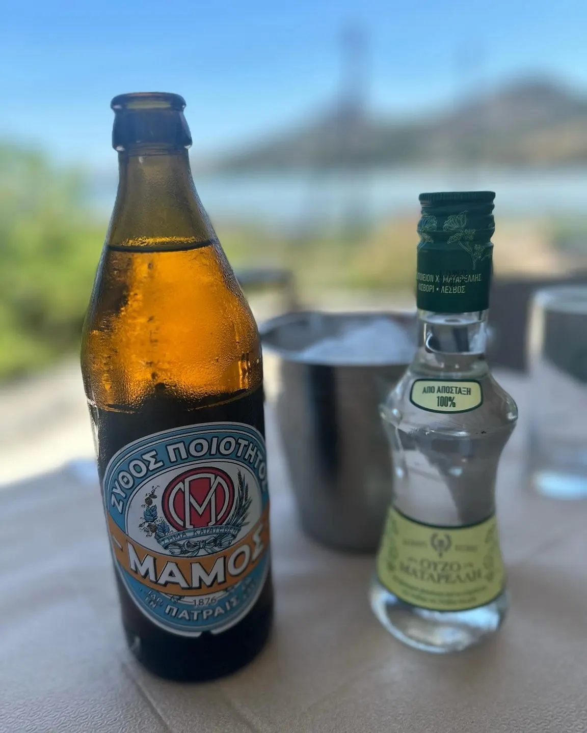 Άρτεμις Ψαροταβέρνα - Artemis Fishtavern — Atina (5/9)