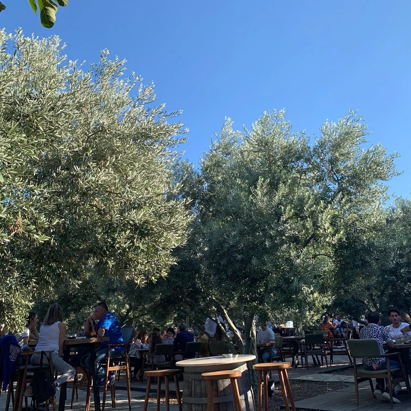 OD URLA — Urla (6/7)