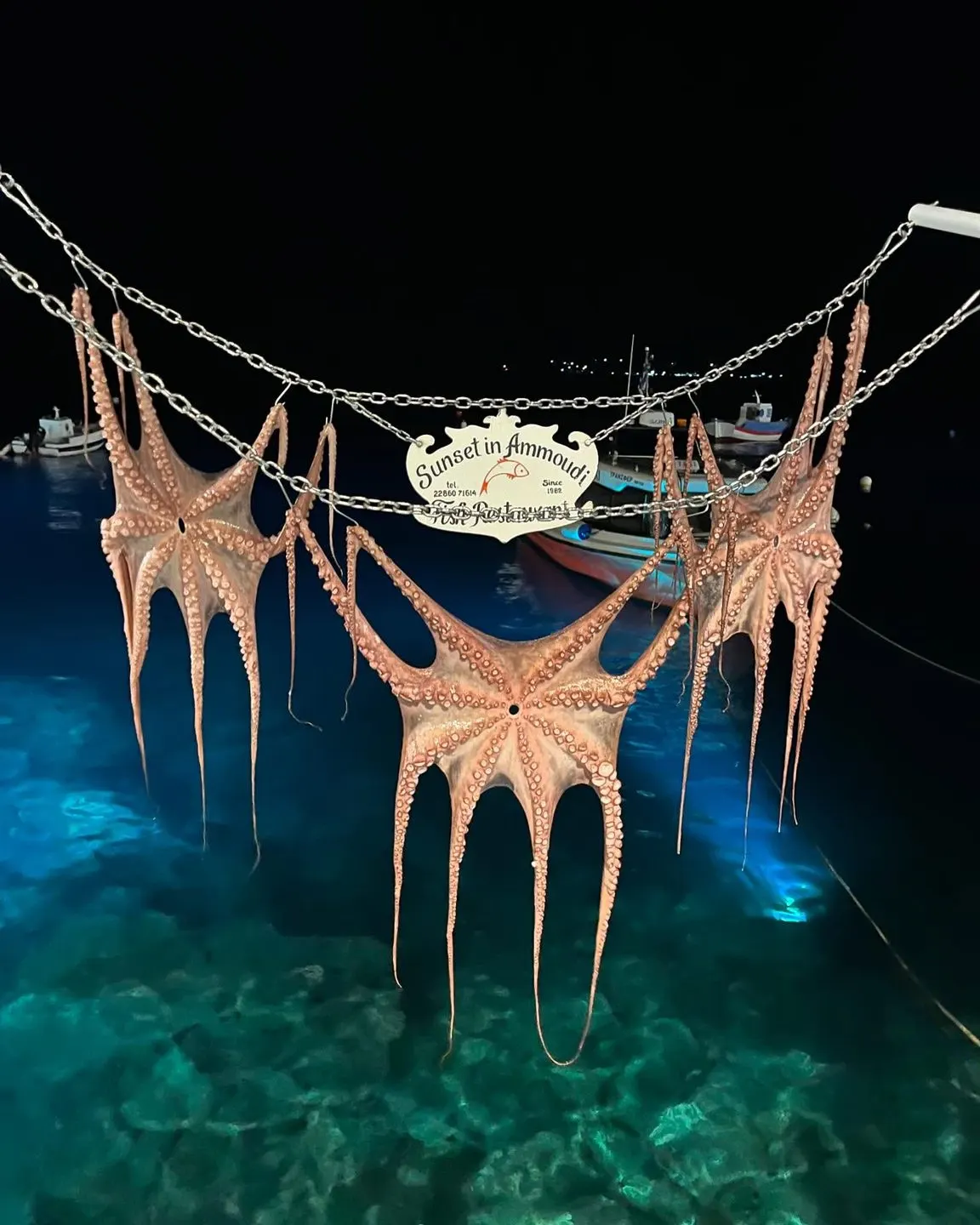 SUNSET TAVERNA by PARASKEVAS- "seafood only" — Santorini (6/10)