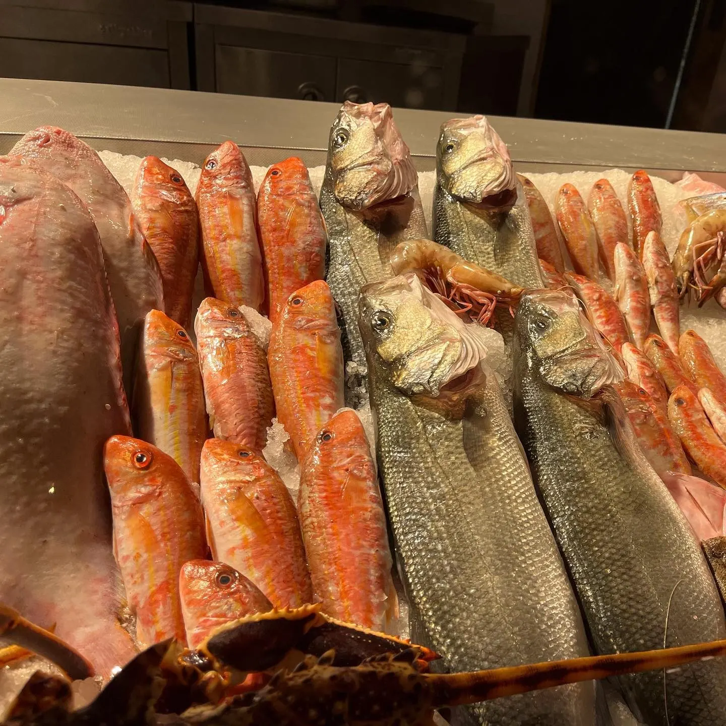 Seasalt — Ortaköy (2/9)