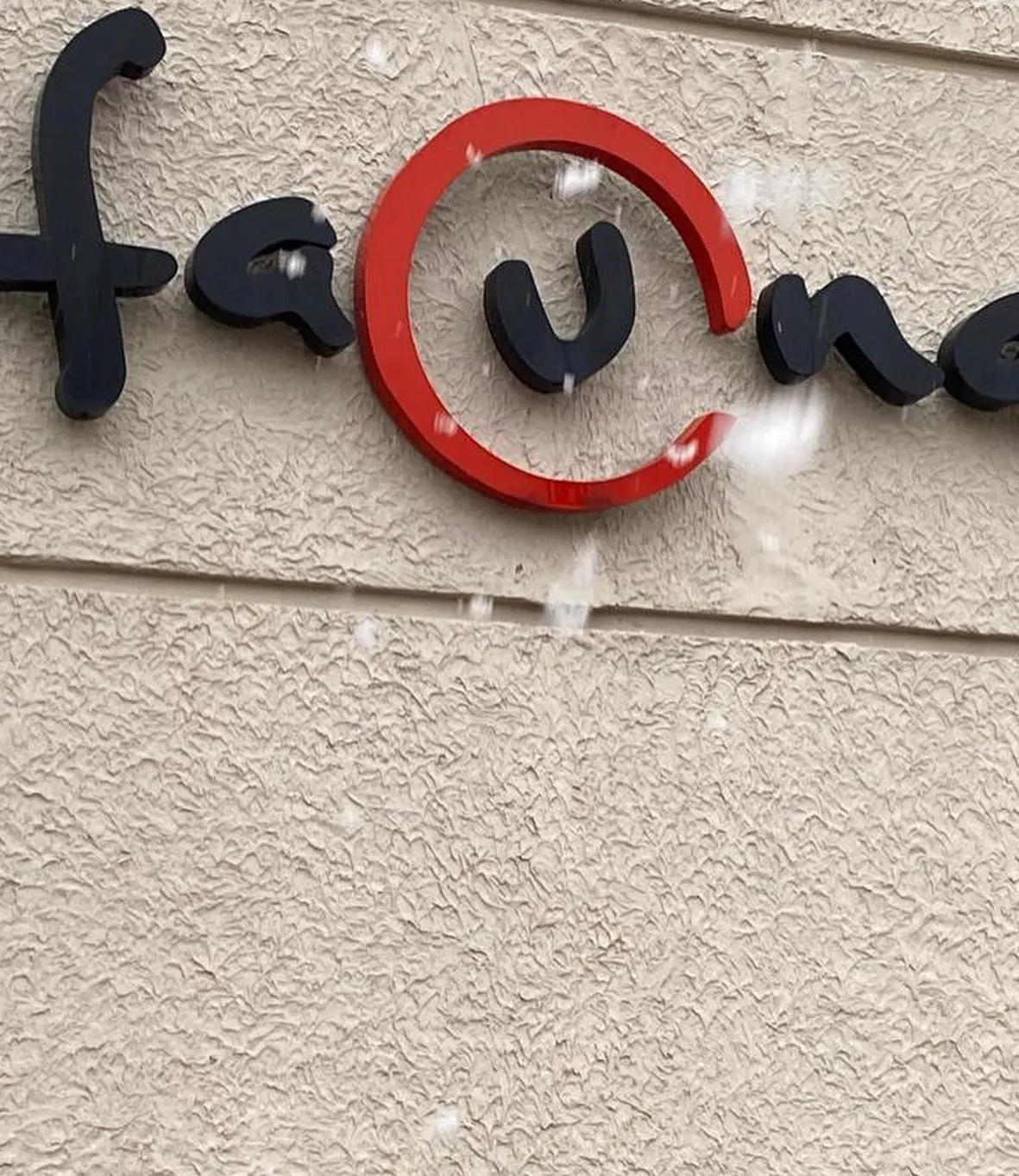 Fauna — Ataşehir (10/10)