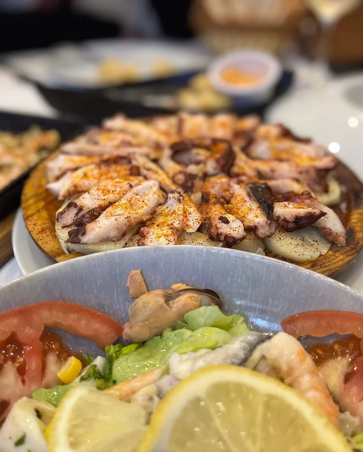 Casa Jose de Jorge — Kazablanka (3/10)