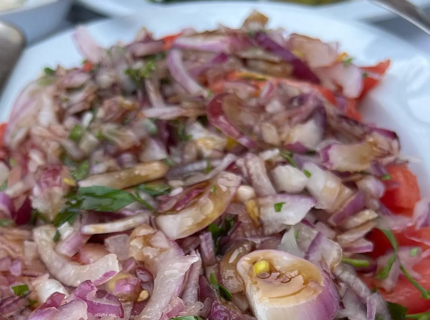 Barbayani restaurant — Yeşilköy (6/10)