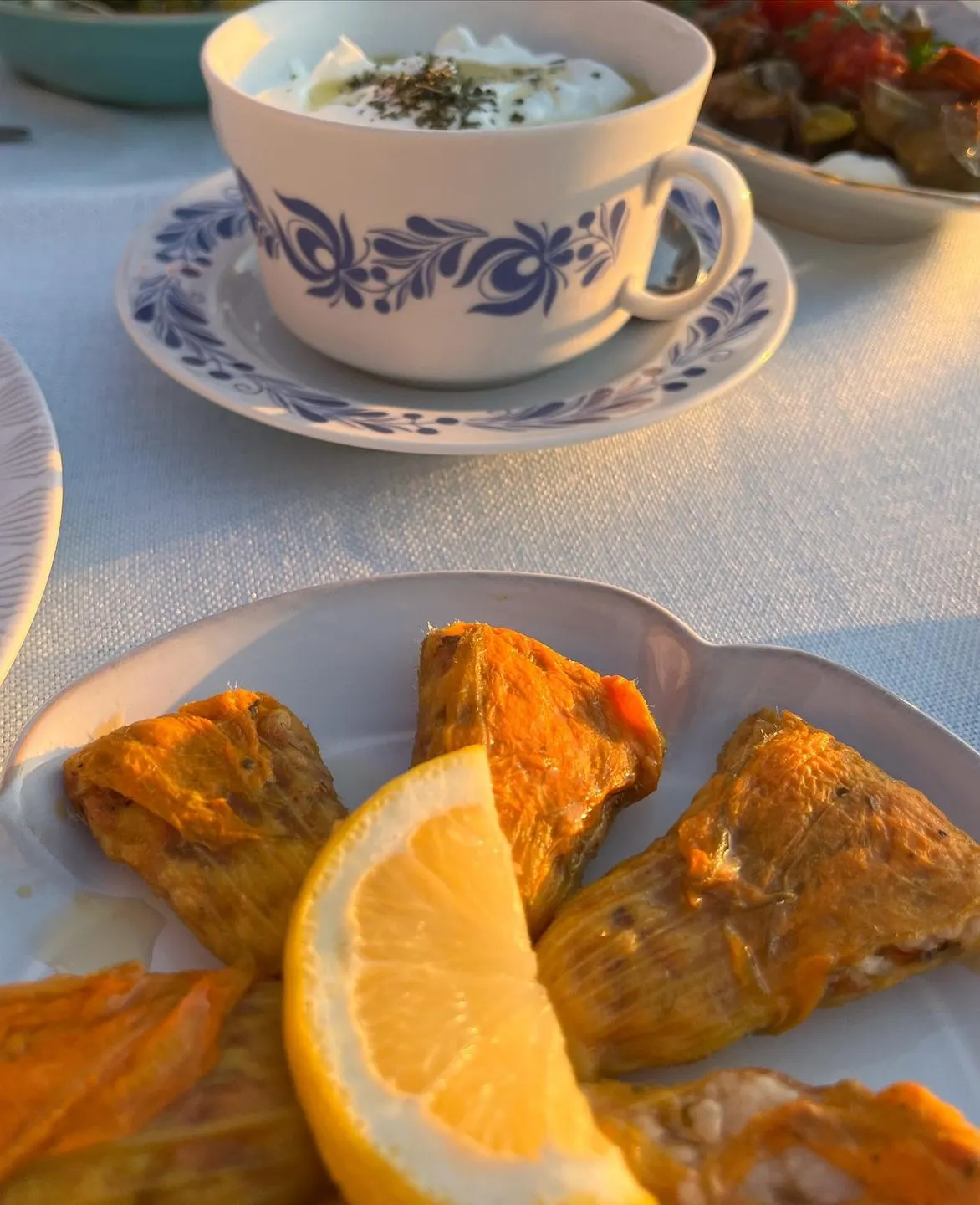 Limon Gümüşlük — Bodrum (5/10)