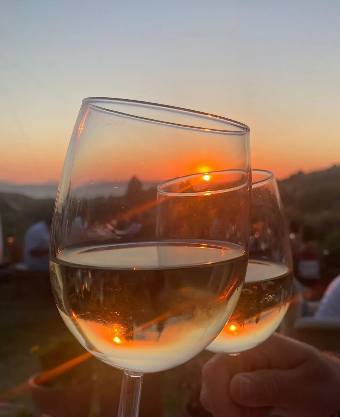 Limon Gümüşlük — Bodrum (7/10)