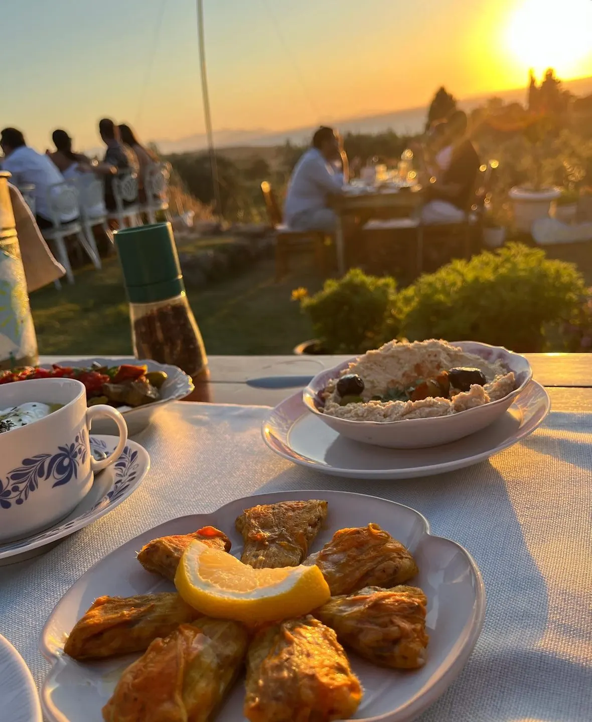 Limon Gümüşlük — Bodrum (10/10)