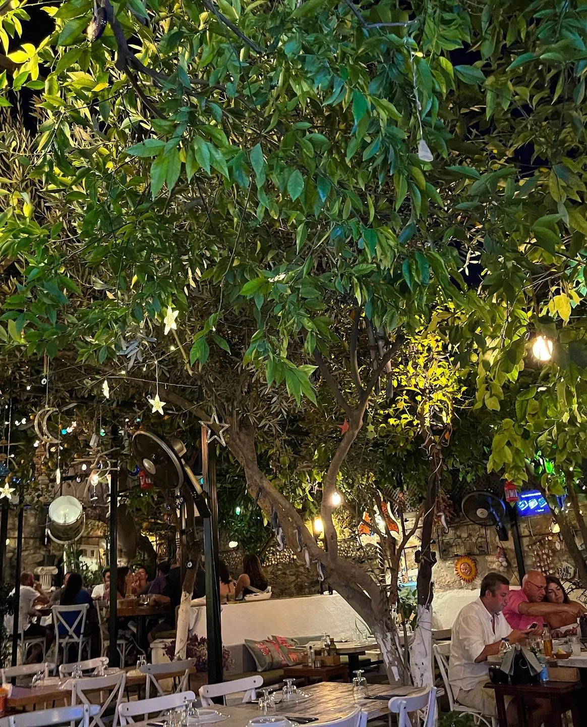 Cesme Horasan Balık — Çeşme (10/10)