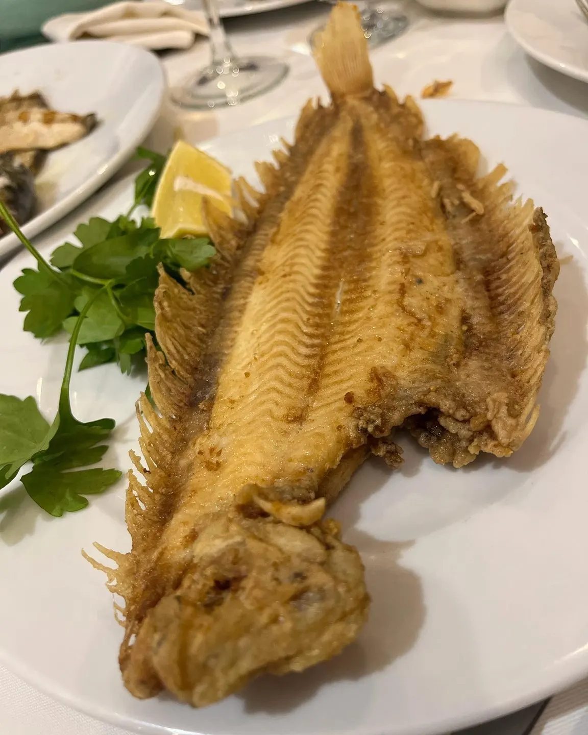 Filiz Restaurant,Tarabya — Tarabya (3/5)
