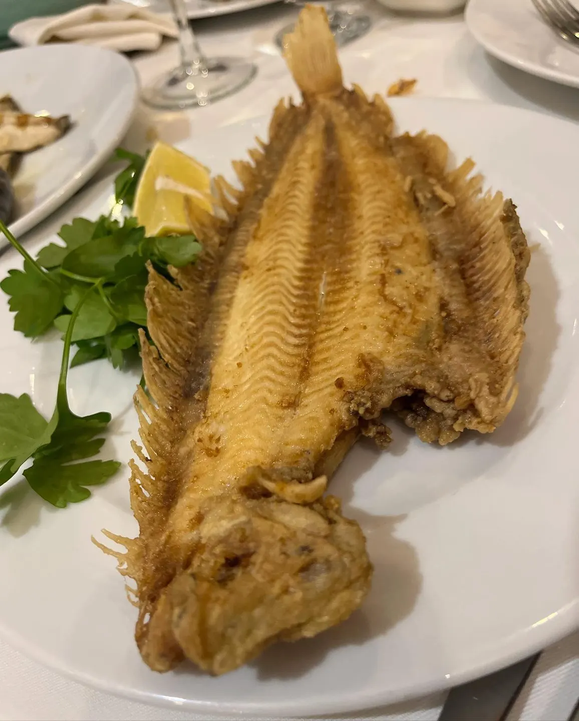 Filiz Restaurant,Tarabya — Tarabya (5/5)
