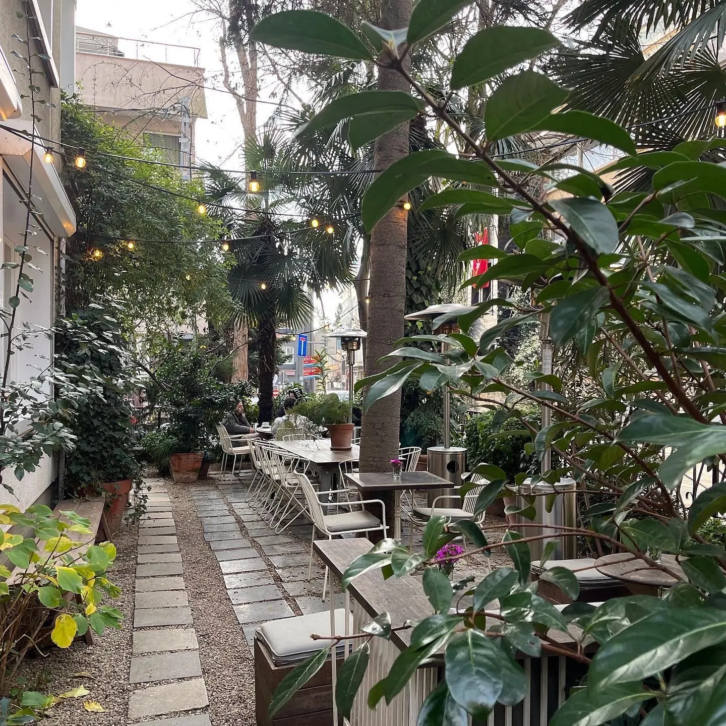 Petra Roasting Co. — Bebek (5/6)