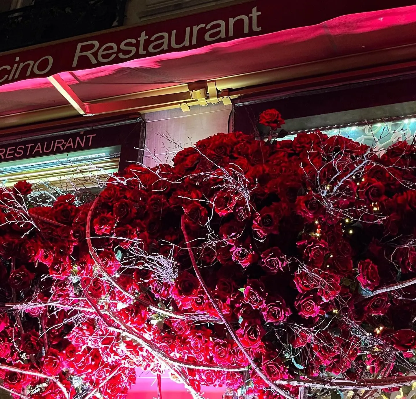 Bocconcino — Mayfair (9/10)