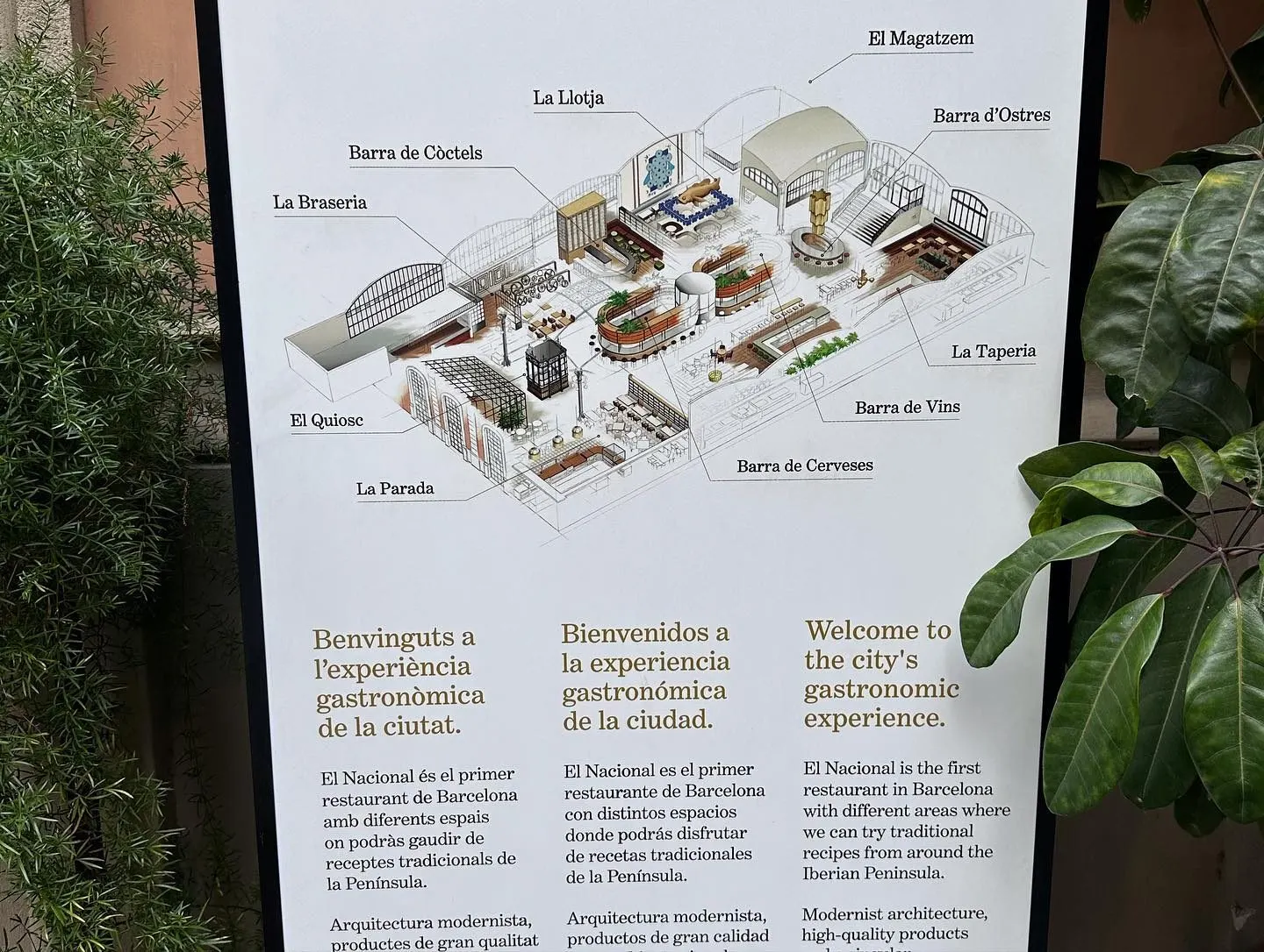 El Nacional BCN — Barselona (8/10)