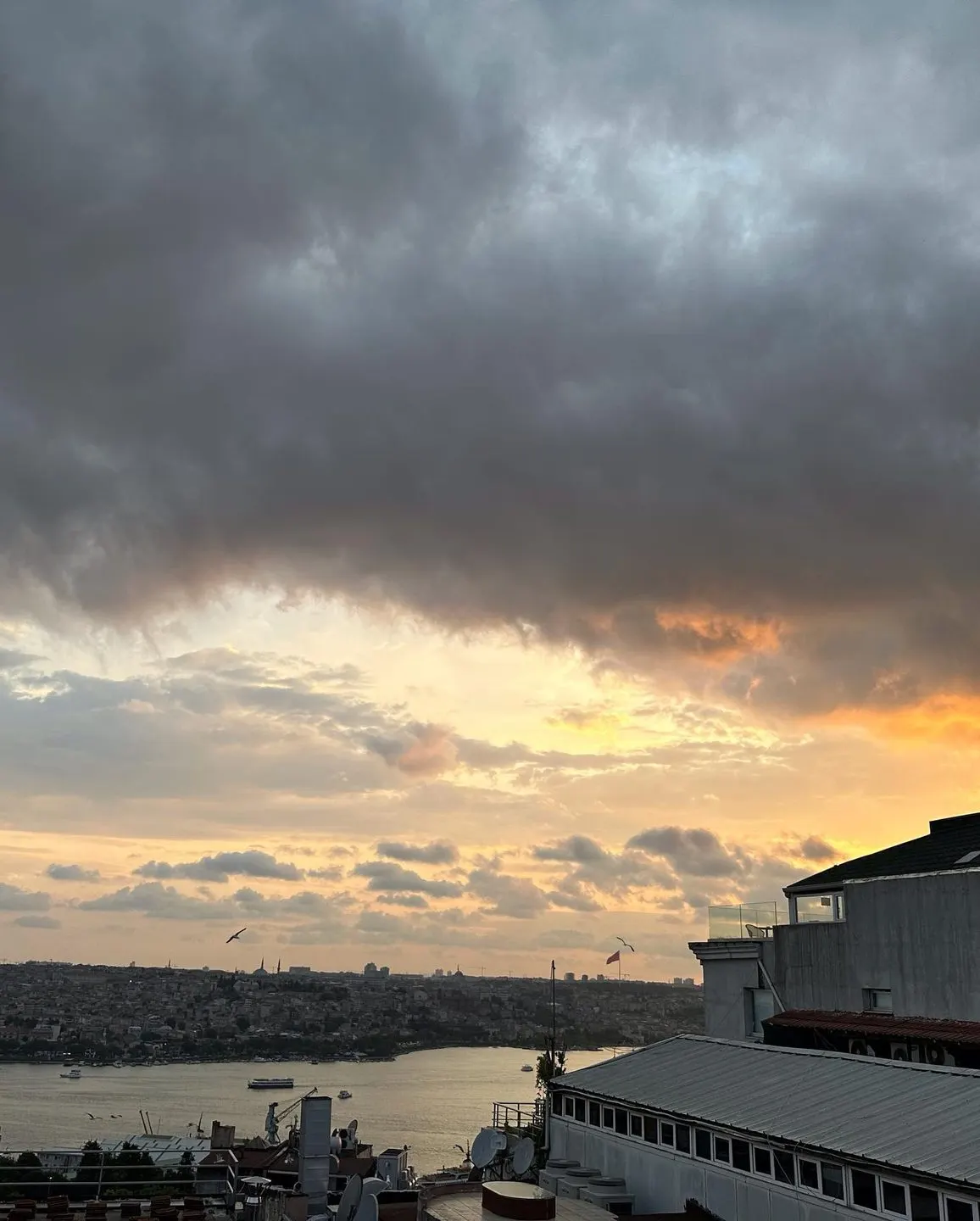 Beatrice — Asmalımescit (9/10)