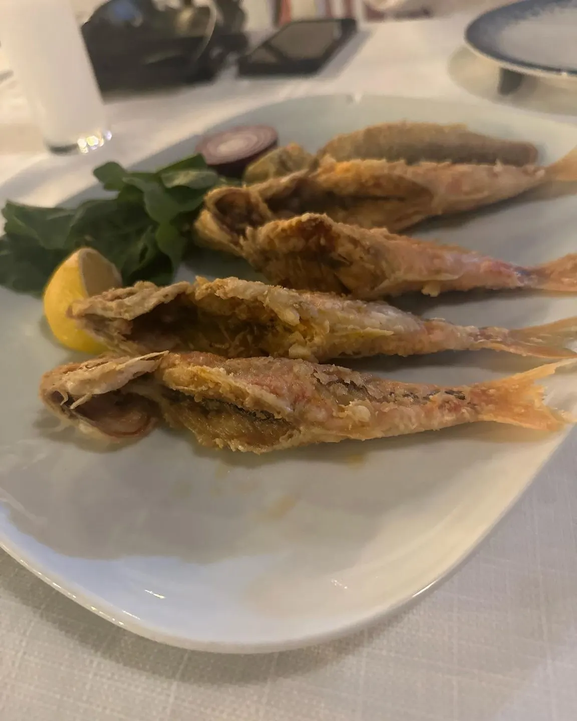 Bozcaada Yakamoz Restaurant — Bozcaada (9/10)