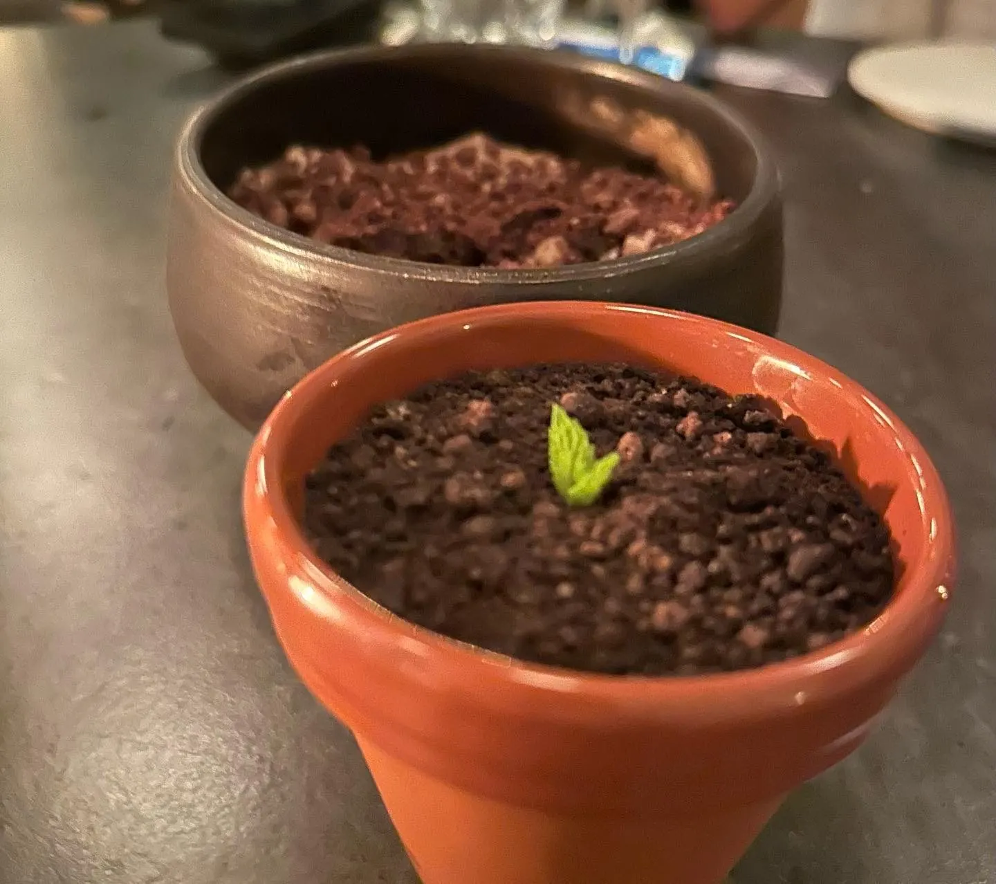 Homa Restaurant — Belgrad (5/8)