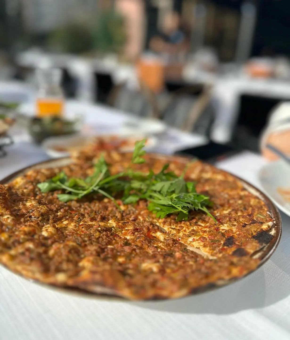 Önder Ocakbaşı — Akaretler (2/9)