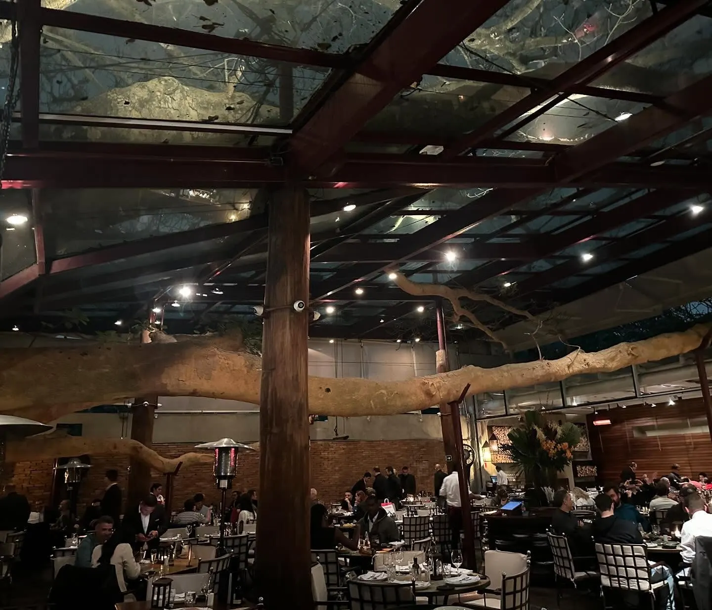 A Figueira Rubaiyat — São Paulo (7/9)