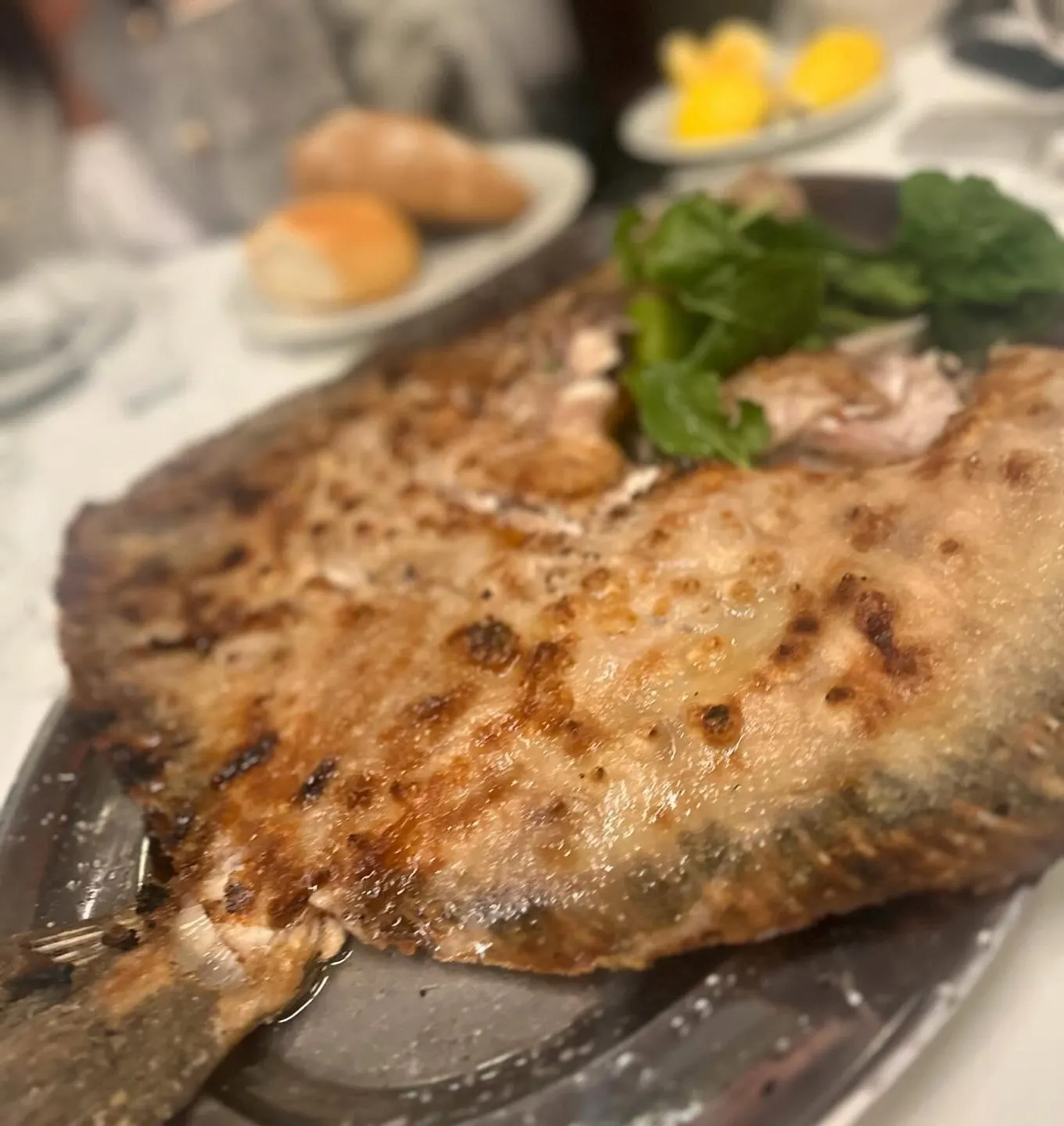Balıkçı Kahraman — Sarıyer (2/9)