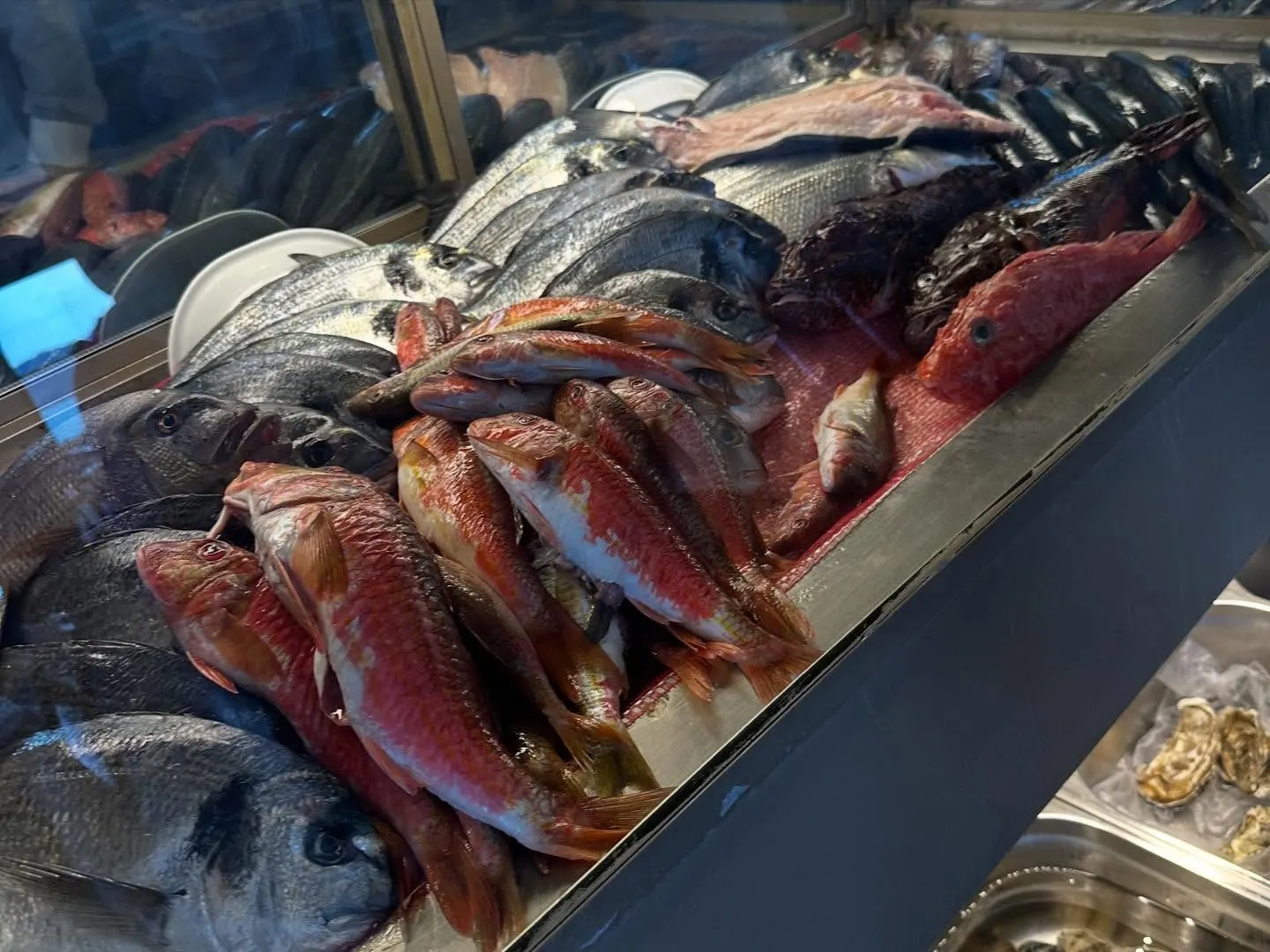 Çanakkale Yalova Restaurant — Çanakkale (11/12)