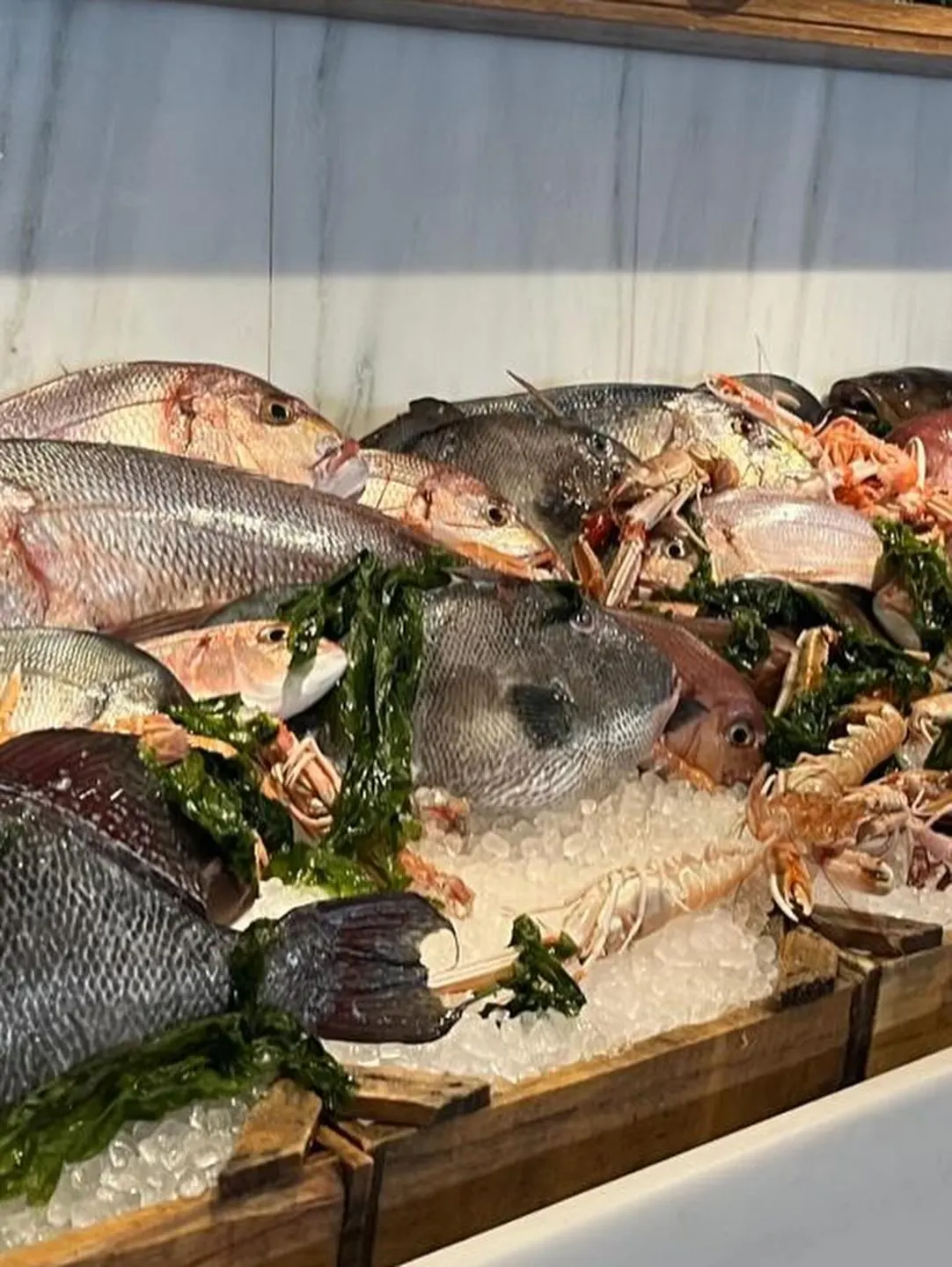 Papaioannou Restaurant — Atina (7/16)