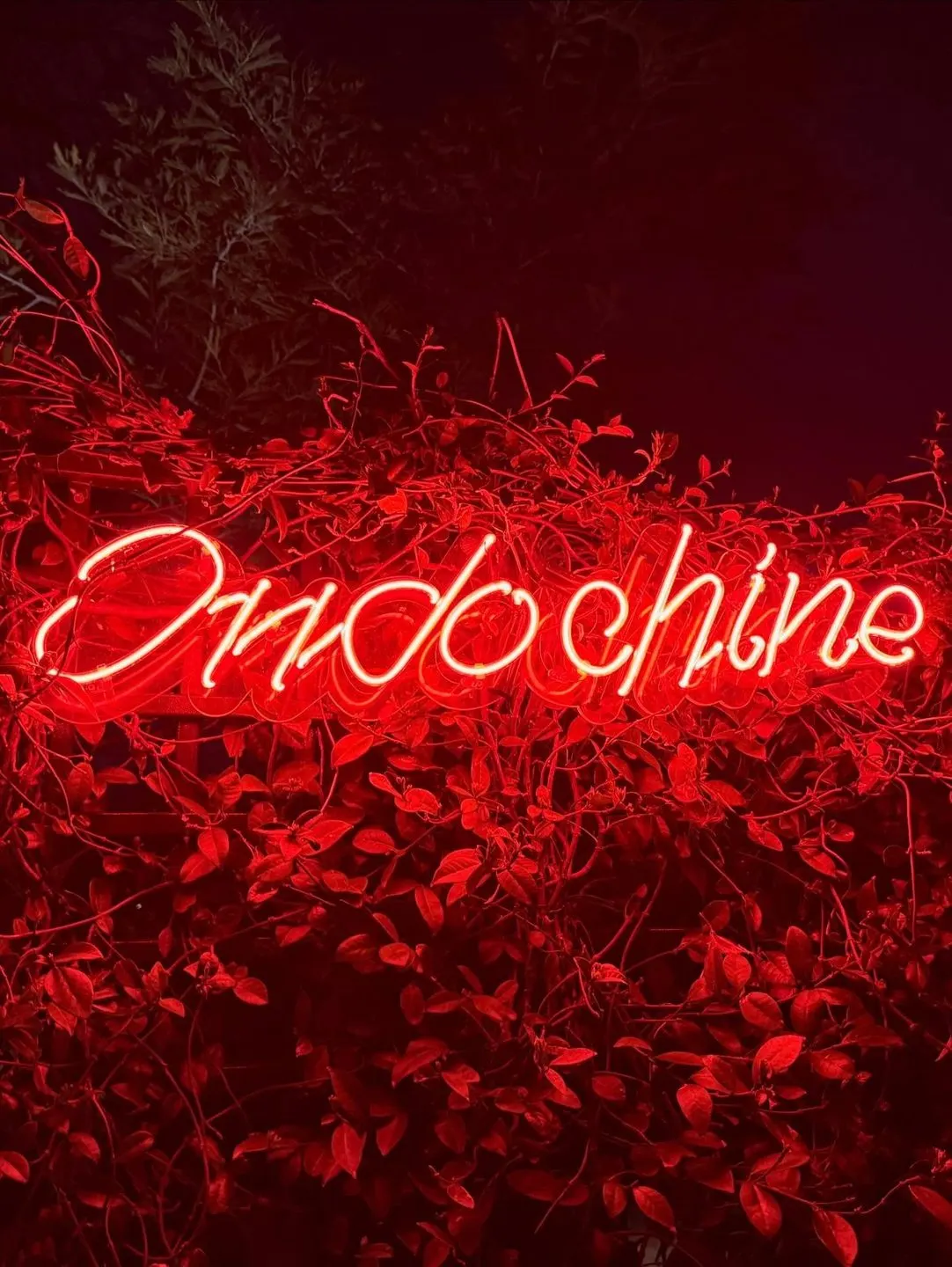 Indochine Istanbul — Bebek (8/9)