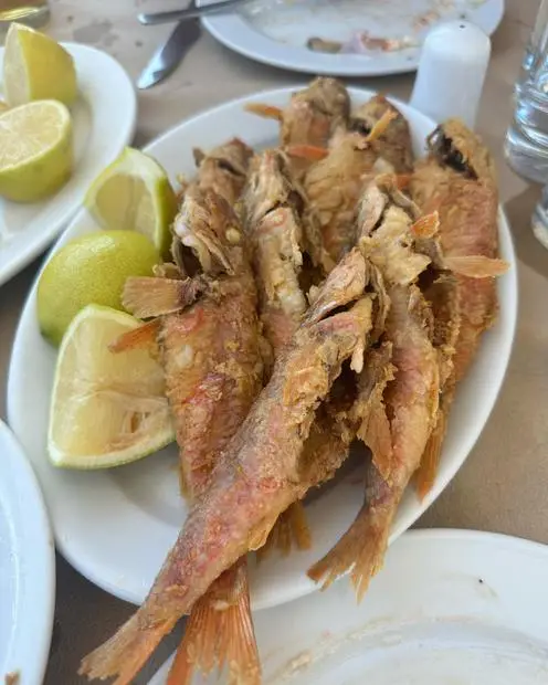 Άρτεμις Ψαροταβέρνα - Artemis Fishtavern — Atina