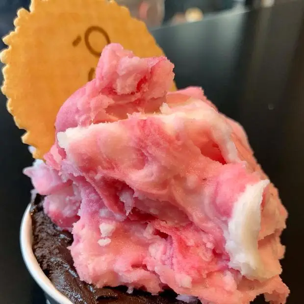 VIGÒ Ice Cream Ljubljana — Ljubljana