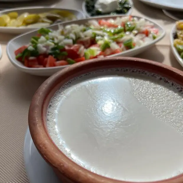 KAVAKLI RESTAURANT — Ankara