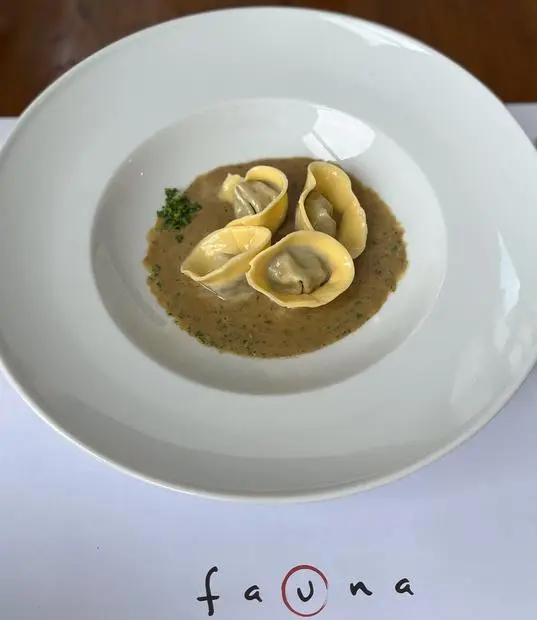 Fauna — Ataşehir · İstanbul