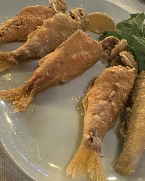Bozcaada Yakamoz Restaurant — Bozcaada