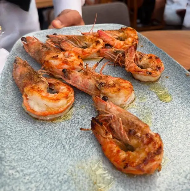 Paraliaki Bebek — Bebek · İstanbul